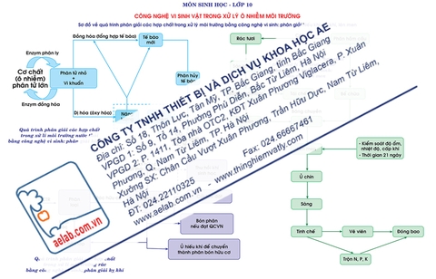 Sơ đồ về quá trình phân giải các hợp chất trong xử lí môi trường bằng công nghệ vi sinh: phân giải hiếu khí, kị khí, lên men.