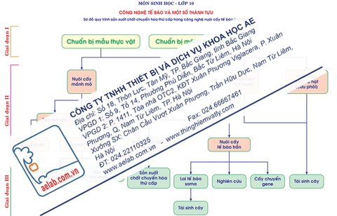 Sơ đồ quy trình sản xuất chất chuyển hóa thứ cấp trong công nghệ nuôi cấy tế bào thực vật
