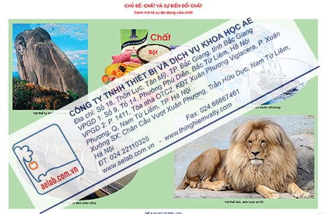 Sự đa dạng của chất (Tranh giấy)