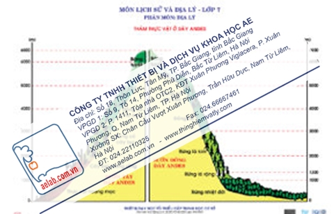 Thảm thực vật ở dãy Andes (Tranh giấy)