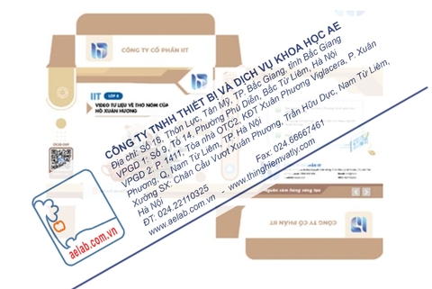 Video/clip/ phim tư liệu về thơ Nôm của Hồ Xuân Hương