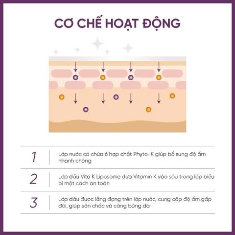 Serum Dưỡng Sáng Da, Giảm Quầng Thâm Chuyên Sâu Dr.Ceuracle PLC Vita K Liposome Oil Ampoule 50ml