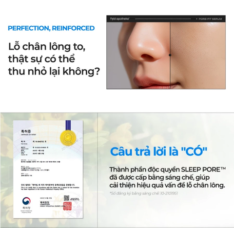 Tinh Chất Chăm Sóc Lỗ Chân Lông Feld Apotheke Pore-Fit Serum 50ml