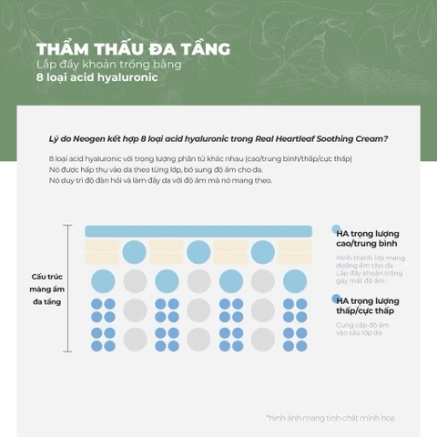 Kem Dưỡng Làm Dịu, Phục Hồi Cho Da Nhạy Cảm Neogen Dermalogy Real Heartleaf Soothing Cream 80g