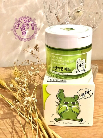 Miếng làm sạch da COREANA BIOCOS DAILY HEALING PAD