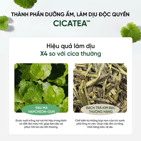 Mặt Nạ Rửa Mặt 2 In 1 Làm Sạch Sâu Cho Da Dầu Mụn Nhạy Cảm Dewdap Cicatea Pore & Sebum Pack Cleanser 150ml