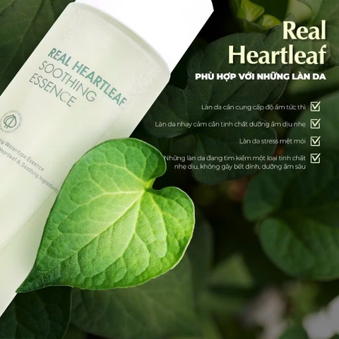 Tinh Chất Giúp Làm Dịu, Phục Hồi Cho Da Nhạy Cảm Neogen Dermalogy Real Heartleaf Essence 150ml