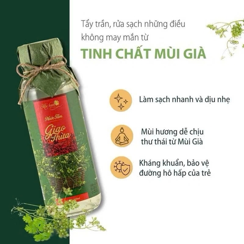 Nước Tắm Giao Thừa - Nước Tắm Mùi Già MỘC HƯƠNG Tắm Tẩy Trần Năm Mới May Mắn, Lau Ban Thờ, Xông Phòng