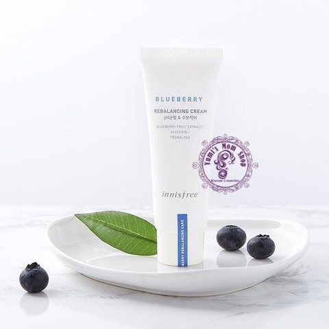 Kem Dưỡng Da Innisfree Blueberry Rebalancing Cream