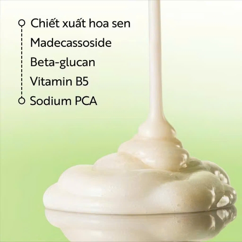 Sữa rửa mặt sen Hậu Giang Cocoon 140ml