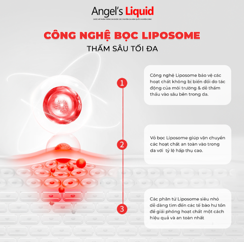 KEM LÀM TRẮNG, KIỂM SOÁT DẦU & THU NHỎ LỖ CHÂN LÔNG ANGEL'S LIQUID GLUTATHIONE PLUS NIACINAMIDE CICA CREAM 50ML