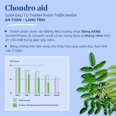 Viên uống giảm đau xương khớp Arkopharma Chondro-aid