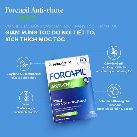 Viên uống giảm rụng tóc, hói đầu Arkopharma Forcapil Anti-Chute