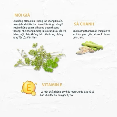 Nước Tắm Giao Thừa - Nước Tắm Mùi Già MỘC HƯƠNG Tắm Tẩy Trần Năm Mới May Mắn, Lau Ban Thờ, Xông Phòng