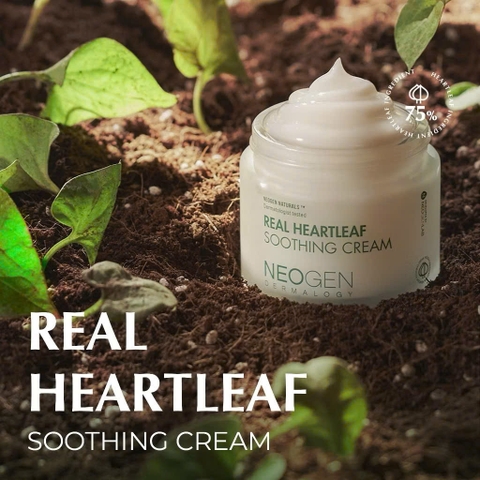 Kem Dưỡng Làm Dịu, Phục Hồi Cho Da Nhạy Cảm Neogen Dermalogy Real Heartleaf Soothing Cream 80g
