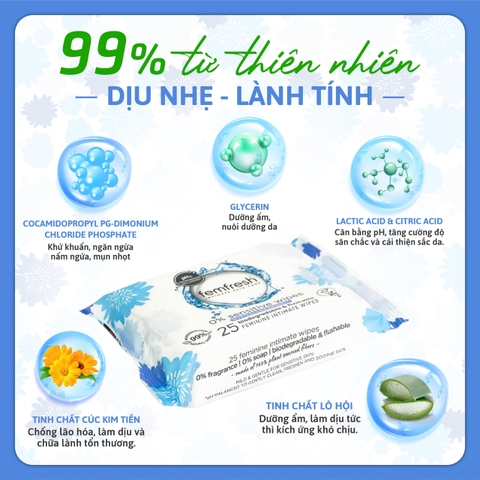 Khăn giấy ướt vệ sinh vùng kín phụ nữ cao cấp Femfresh Wipes