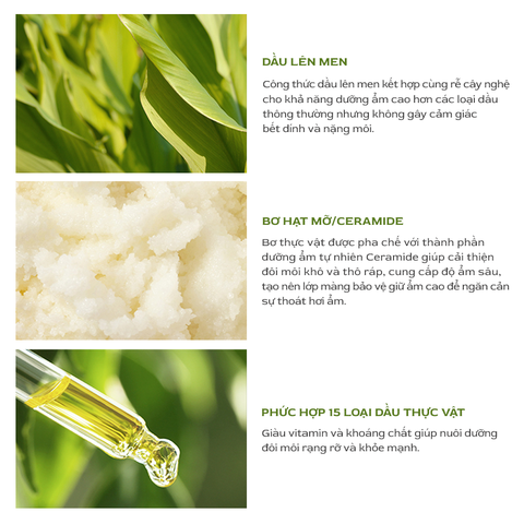 Son dưỡng môi Nacific Vegan Lip Glow 3.9g