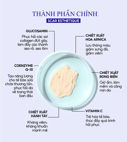 Kem xóa mờ Sẹo Thâm, Sẹo Rỗ, Sẹo Lõm Scar Esthetique của Rejuvaskin