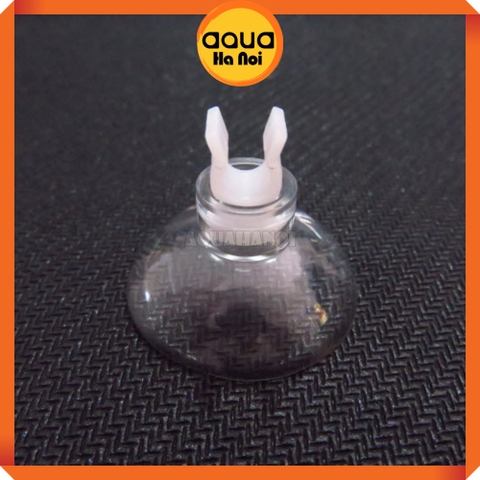 Núm nhựa hít kính giữ ống - gông giữ ống in out - Phi 16 mm