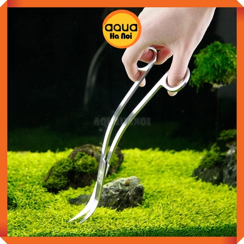 Kéo inox lượn sóng chữ S - 25cm cắt tỉa cây thủy sinh