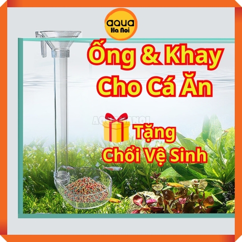 Bộ ống kèm khay đĩa đựng thức ăn cho cá tép Acrylic - 35cm - Tặng kèm chổi vệ sinh
