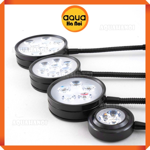 Combo Đèn Led