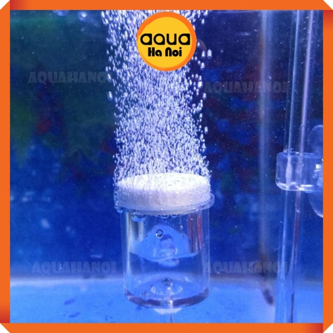 Cốc sủi CO2 - Đầu sủi CO2 thủy tinh trong suốt - Siêu mịn - 22 mm