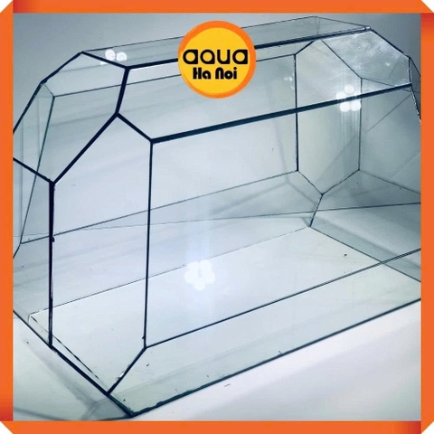 Bể kính đa giác terrarium, bình thủy tinh tiểu cảnh bán cạn - Viền silicon - Mẫu N-02 size S (38*19*21 cm)