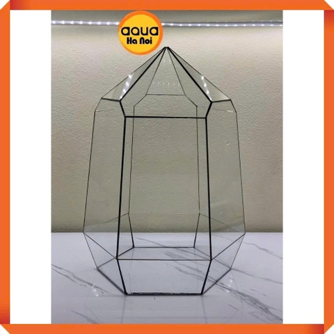 Bể kính đa giác terrarium, bình thủy tinh tiểu cảnh bán cạn - Viền silicon - Mẫu D-12 size L (26*26*36 cm)
