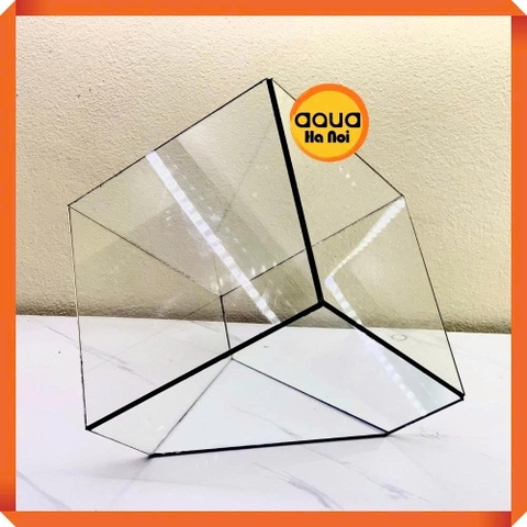 Bể kính đa giác terrarium, bình thủy tinh tiểu cảnh bán cạn - Viền silicon - Mẫu D-22 size L (20*20*20 cm)