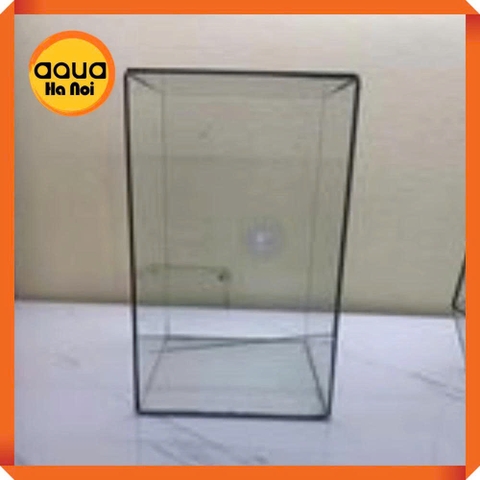 Bể kính đa giác terrarium, bình thủy tinh tiểu cảnh bán cạn - Viền silicon - Mẫu D-15 (25*10*18 cm)