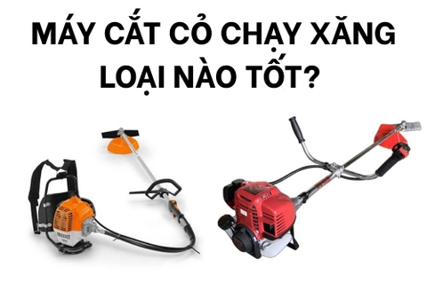 Máy Cắt Cỏ Chạy Xăng Loại Nào Tốt? Top 6 Sản Phẩm Nổi Bật 