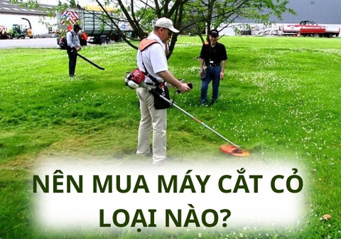 Nên Mua Máy Cắt Cỏ Loại Nào? Top 6 Đáng Mua Hiện Nay  