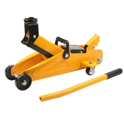 Con đội cá sấu