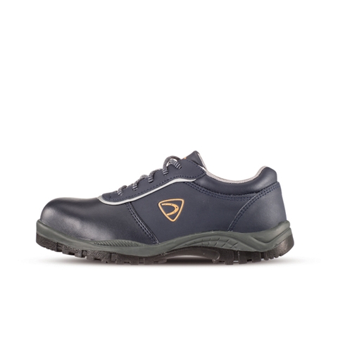 Giày Bảo Hộ Lao Động HANS HS304NR