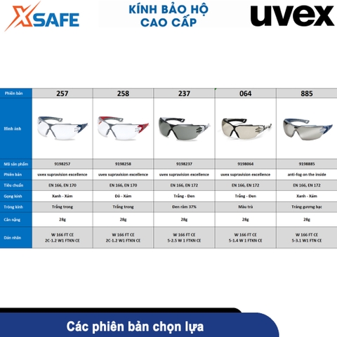 Kính Bảo Hộ UVEX PHEOS CX2 9198257