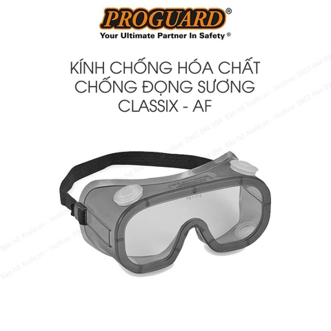 Kính bảo hộ chống hóa chất Proguard Classix AF