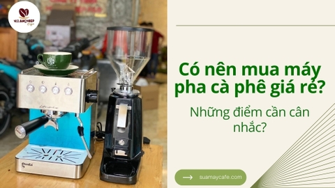 Có nên mua máy pha cà phê giá rẻ? Những điểm cần cân nhắc!