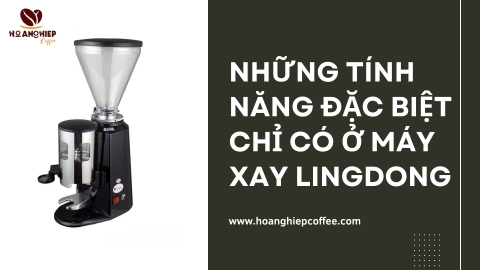 Những tính năng đặc biệt chỉ có ở máy xay Lingdong