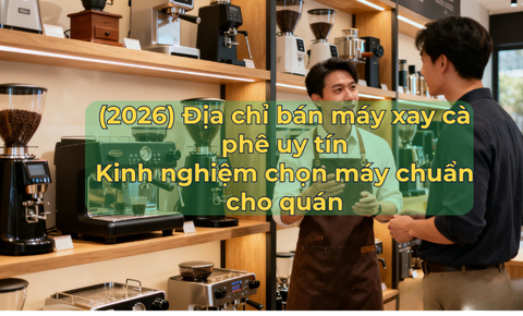 (2026) Địa chỉ bán máy xay cà phê uy tín: kinh nghiệm chọn máy chuẩn cho quán