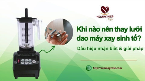 Khi nào nên thay lưỡi dao máy xay sinh tố? Dấu hiệu nhận biết và giải pháp.