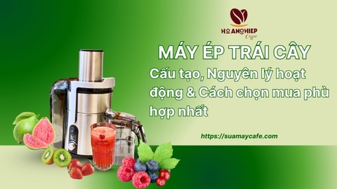 Máy Ép Trái Cây: Cấu Tạo, Nguyên Lý Hoạt Động & Cách Chọn Mua Phù Hợp Nhất