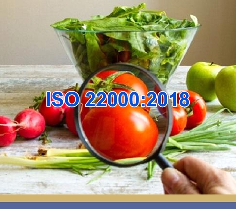 ĐÀO TẠO, TƯ VẤN ISO 22000:2018