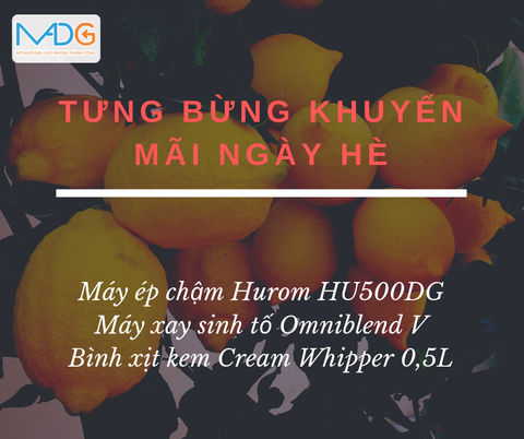 TƯNG BỪNG KHUYẾN MÃI NGÀY HÈ