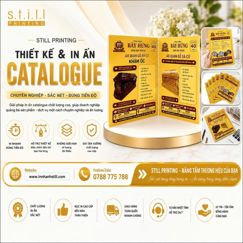 In catalogue giá rẻ, chất lượng cao tại Bến Tre