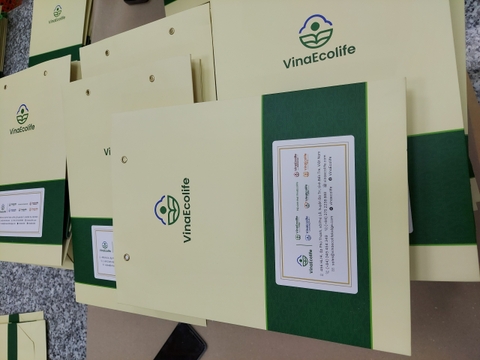 1000 Túi Giấy VinaEcolife 37 x 32 x 7cm; 8,800 VNĐ/1 túi