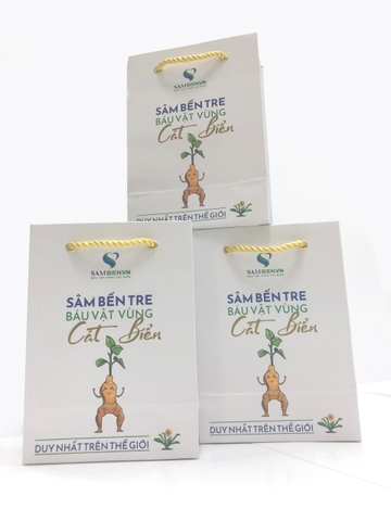 Túi Giấy Nhỏ Đựng Sản Phẩm 