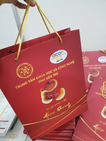 In Túi Giấy Tại Bến Tre – Giải Pháp Bao Bì Xanh Cho Doanh Nghiệp