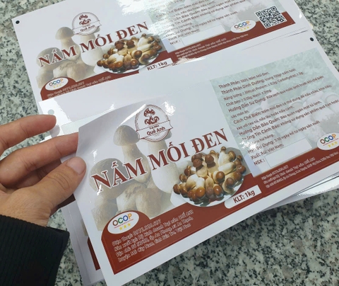 Thiết Kế Và In Ấn Combo Hộp Giấy Tem Nhãn Sản Phẩm Chuyên Nghiệp – Giải Pháp Truyền Thông Hiệu Quả Cho Thương Hiệu