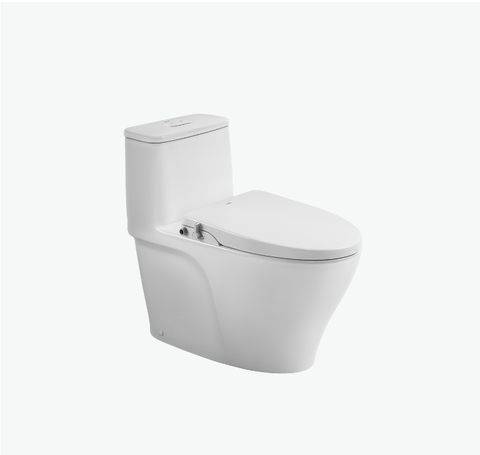 Bàn cầu 1 khối Inax AC-989+CW-S15VN